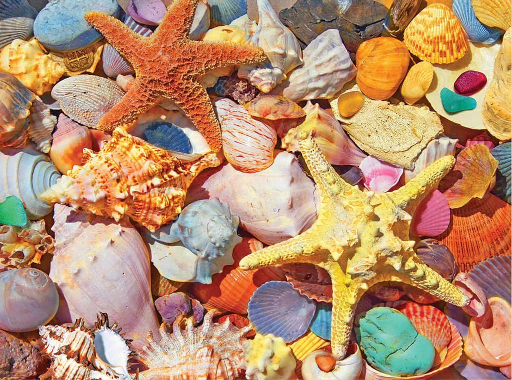 Beach Shells (1486pz) - 500 Piece Jigsaw Puzzle