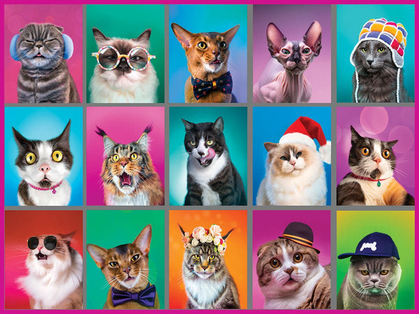 1850_cat_portraits_1200-