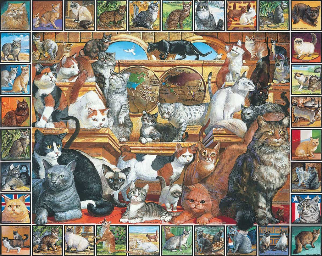 World of Cats (135pz) - 1000 Pieces