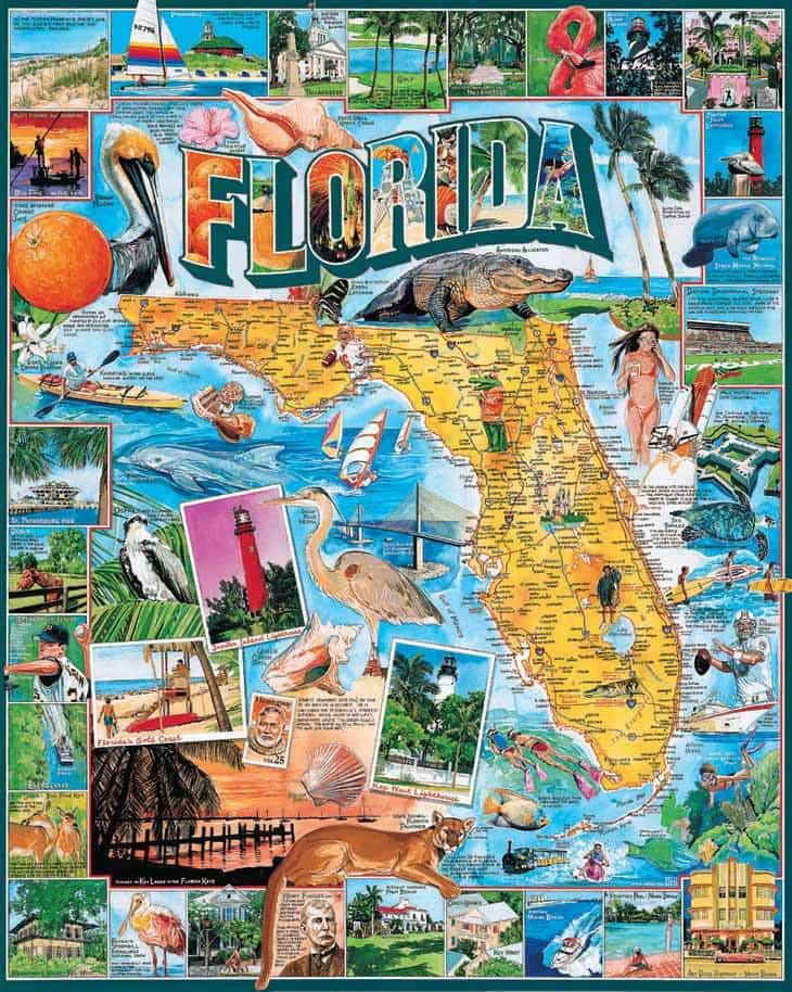 Florida (233pz) - 1000 Piece Jigsaw Puzzle