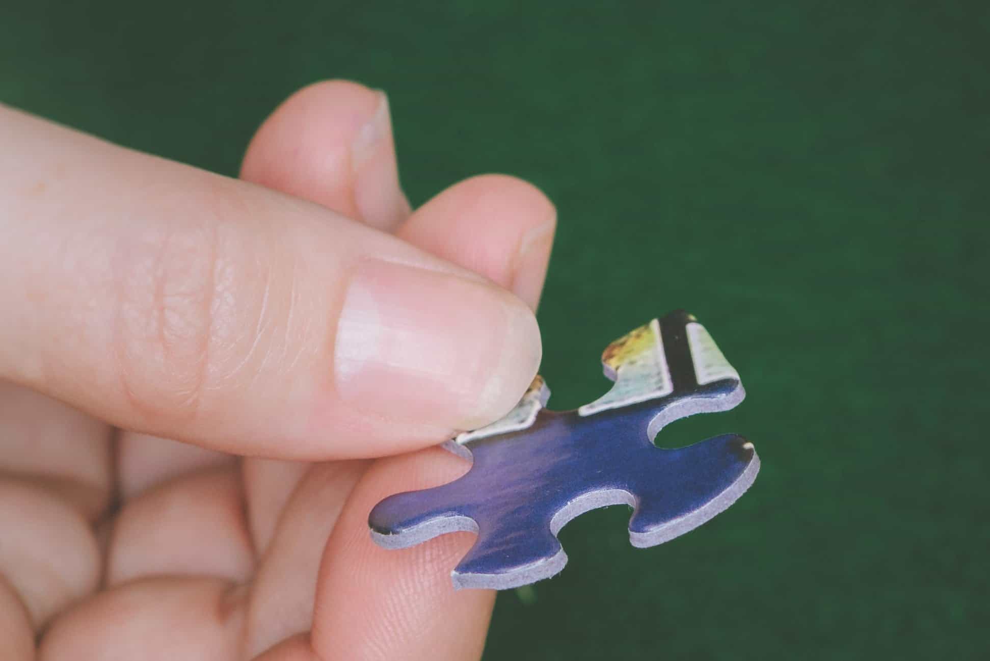 Lantern Press Florida Beach Umbrella Jigsaw Puzzle - 1000 Piece Adult Puzzle With Reference Poster, Made In USA